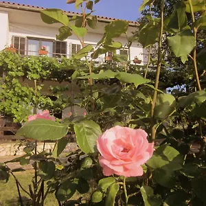Iva Apartman Rovinjsko Selo